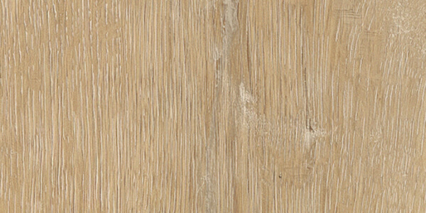 Neutral color palette