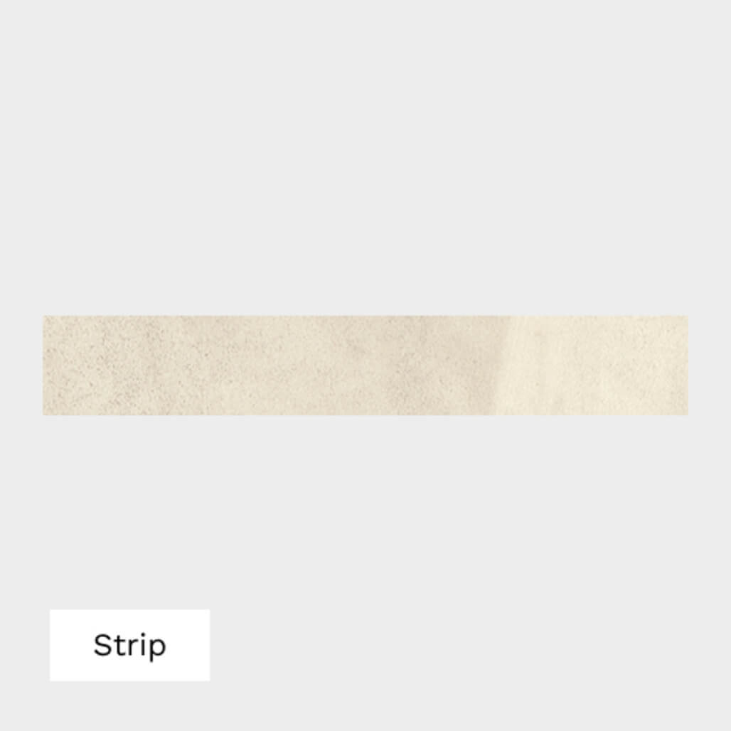 Strip Ammonite AM5S4800