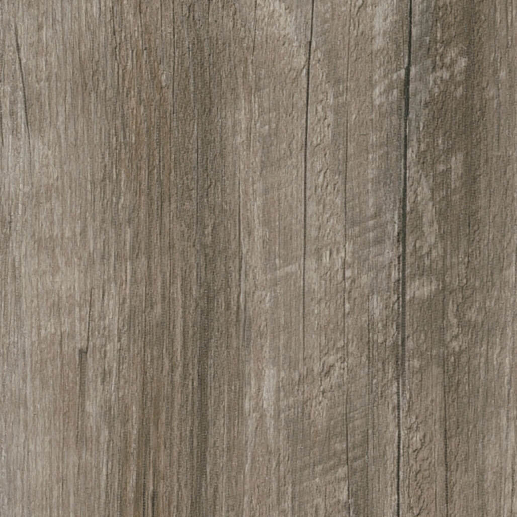 Coastal Pine