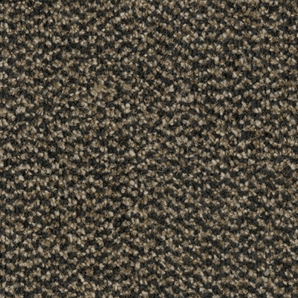 Coral Marine FR Santos Brown