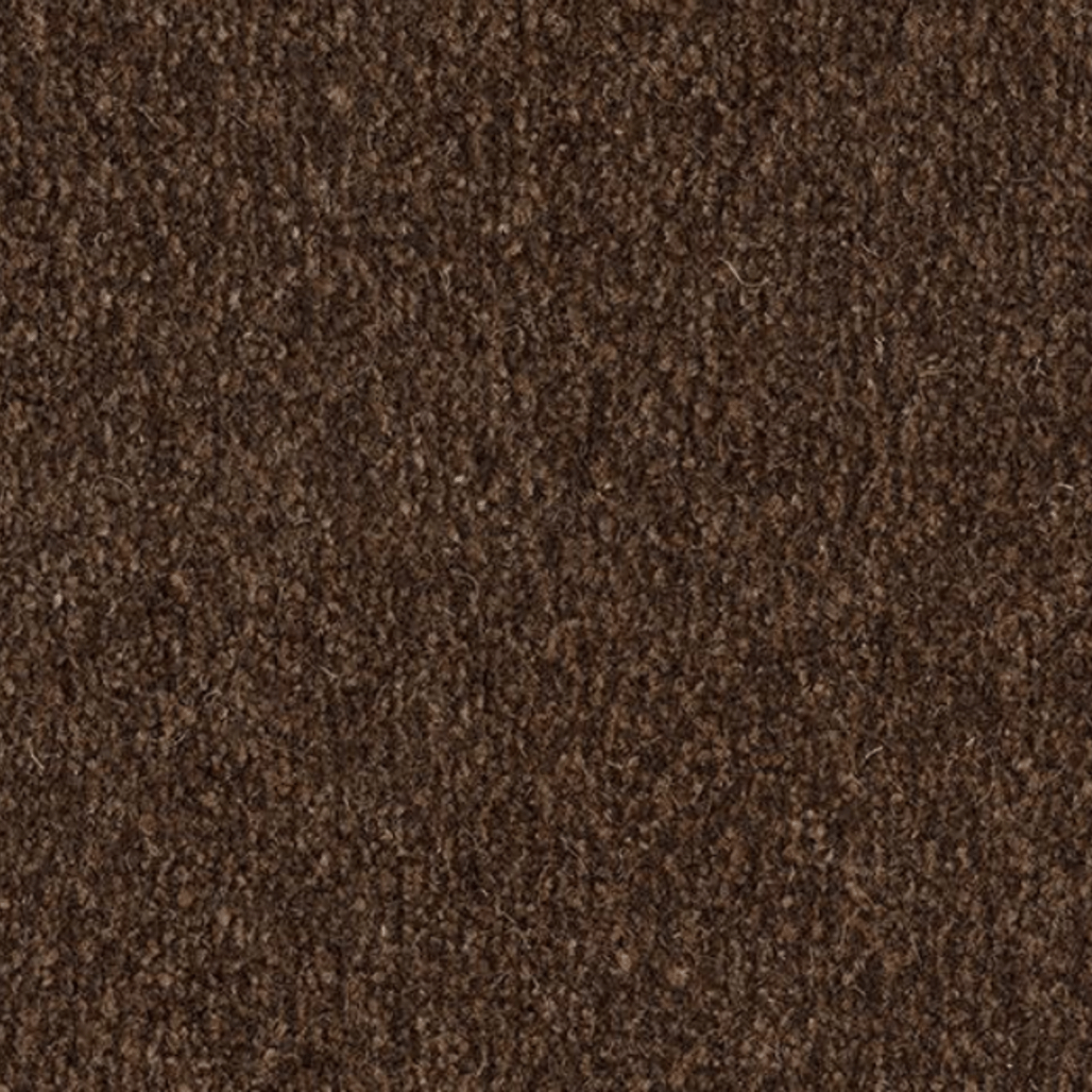 Coral Marine FR Tanger Brown