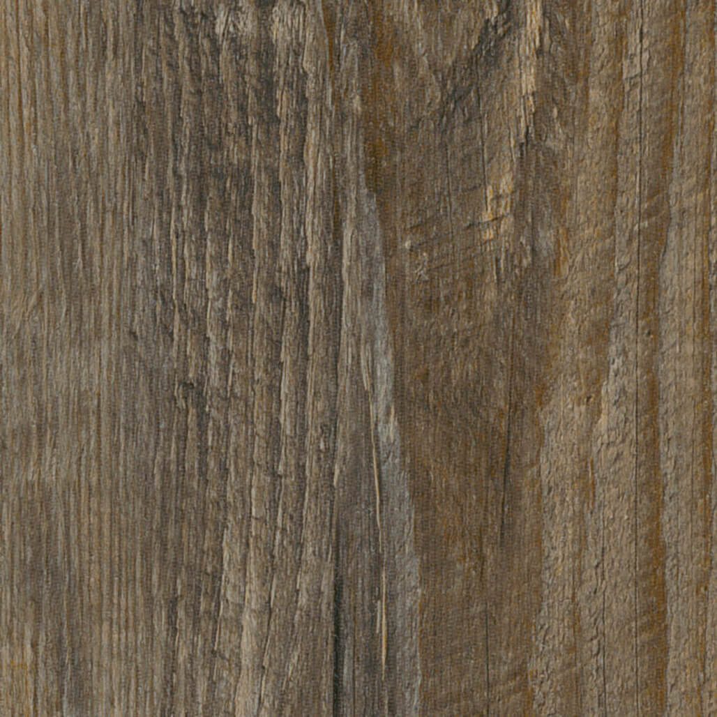 Estuary Pine
